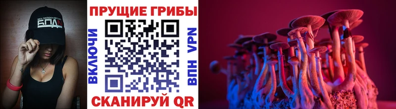 Купить закладки Белоусово Галлюциногенные грибы мицелий